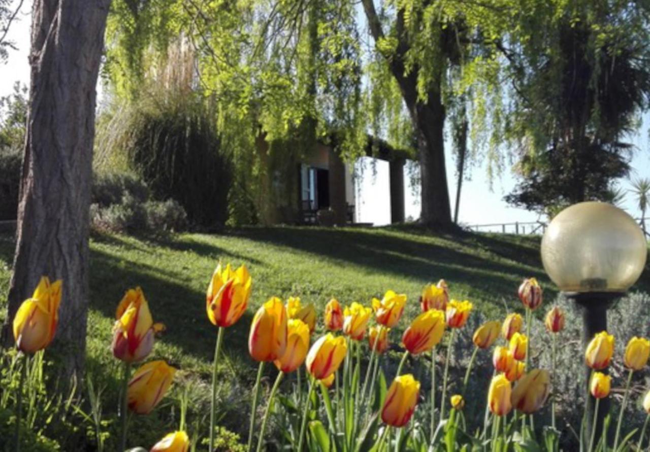 Agriturismo Quartopodere Βίλα Magliano in Toscana Εξωτερικό φωτογραφία