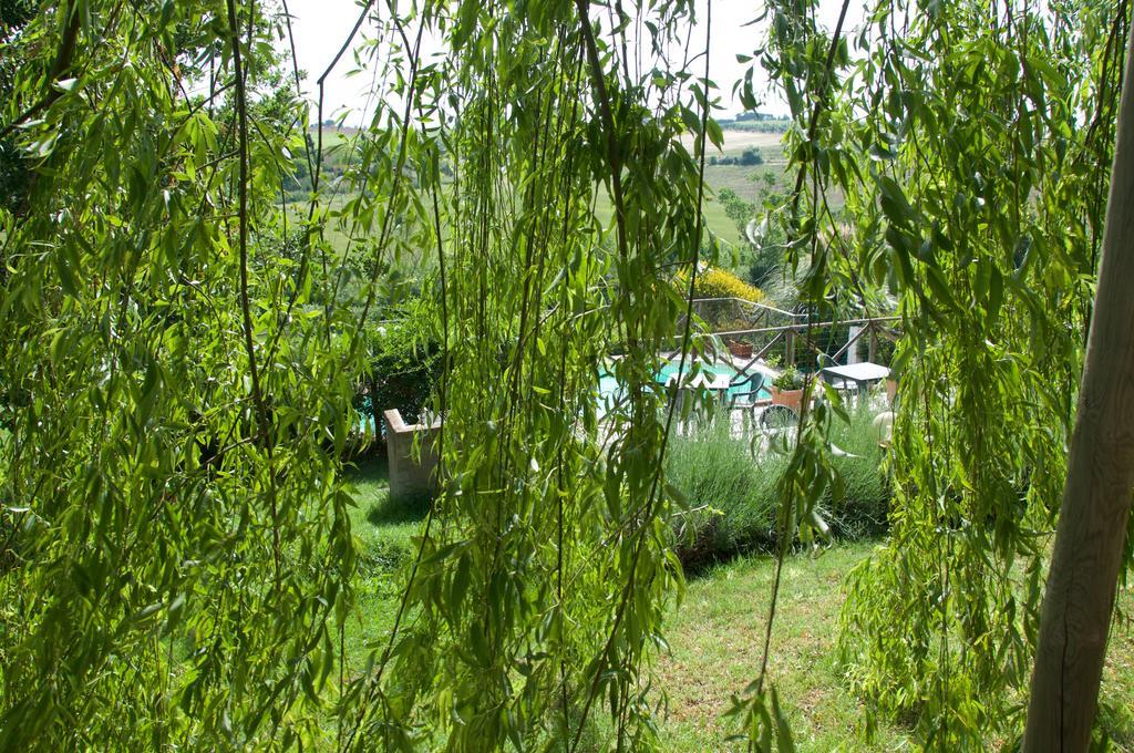 Agriturismo Quartopodere Βίλα Magliano in Toscana Εξωτερικό φωτογραφία